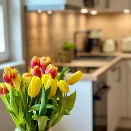 Apartment Meerluft 10 Dranske